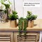 Set of 3 Mini Artificial Succulents in Pots – Realistic Faux Small Potted Plants for Aesthetic Room Decor, Office Desk, Bathroom & Bookshelf Modern Home Accents